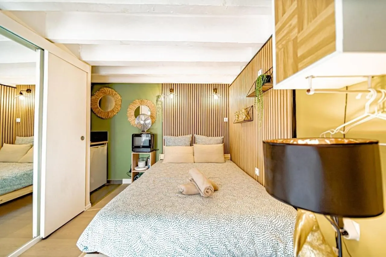 Warm And Well-Appointed Studio Foch Massena District Lyon Appartement