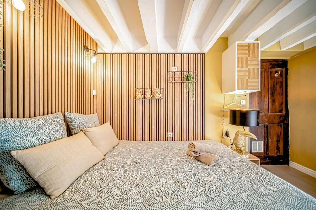 Warm And Well-Appointed Studio Foch Massena District Lyon